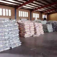 وارد کننده مستقیم برنج پاکستانی سوپر کرنل