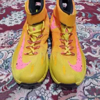 کفش ورزشی نایک امریکایی|کیف، کفش، کمربند|شیراز, سیاه سنگ|دیوار