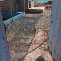 فروش زمین مناسب گلخانه کوچک|فروش دفتر صنعتی، کشاورزی، تجاری|گرمسار, |دیوار