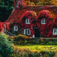 اجاره-اپارتمان