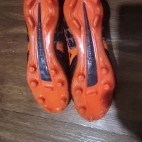 کفش مردانه و زنانه|کیف، کفش، کمربند|آمل, |دیوار