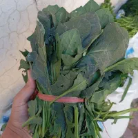 فروش انواع سبزیجات|خوردنی و آشامیدنی|جونقان, |دیوار