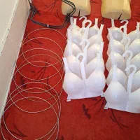 انواع رگال باقیمت توافقی وارزان