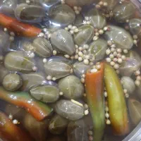 لگجی|خوردنی و آشامیدنی|اهواز, شریعتی جنوبی|دیوار