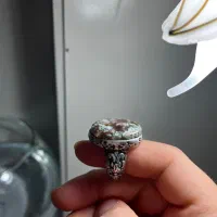 انگشتر شجر دریایی|جواهرات|اردبیل, |دیوار