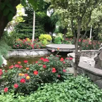نیاوران۱۳۰مترجمشدیه/فول مشاعات آبی/۲خواب/ویو دار|اجارهٔ آپارتمان|تهران, نیاوران|دیوار