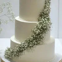 سفارش انواع کیک عروسی عقد وتولد