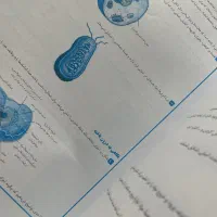 کتاب پرتکرار علوم هفتم|کتاب و مجله آموزشی|گرمسار, |دیوار