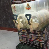 دستگاه یخ دربهشت دو مخزن