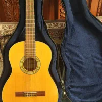AK 30 گیتار