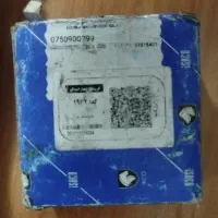 رله دوبل پژوئی