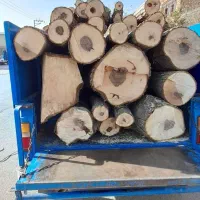 خریدچوب|خدمات باغبانی و درختکاری|چناران, |دیوار