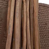 خریدچوب وکنده درخت وچوب سقفی و ریشه