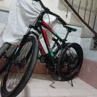 دو چرخه آلپینو|دوچرخه، اسکیت، اسکوتر|فردیس, نگارستان|دیوار