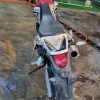 فروش پیشرو گلد ۲۰۰ در حد صفر|موتورسیکلت|رشت, کاکتوس|دیوار