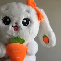 عروسکهای پولیشی