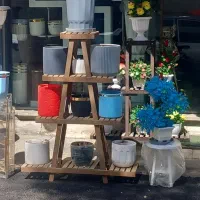 گل فروشی همیشه بهار|گل و گیاه طبیعی|ورامین, ورامین|دیوار