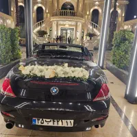 تشریفات ماشین عروسی