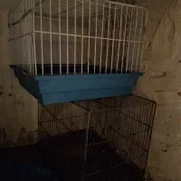 ۳تاقفس بزرگ|لوازم جانبی حیوانات|شیراز, کوشک میدان|دیوار