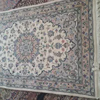 قالی دست باف|فرش|رفسنجان, |دیوار