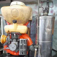 سمپاش|خدمات باغبانی و درختکاری|شیروان (خراسان), |دیوار