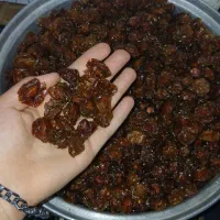 الوچه  تازه  ملس