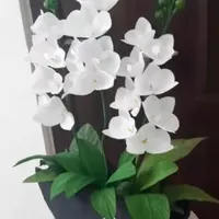 گل رز با کاغذ کشی|گل مصنوعی|تبریز, |دیوار
