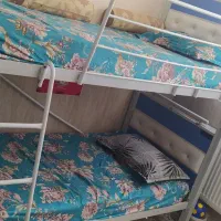 تخت خواب دوطبقه|تخت و سرویس خواب|شاندیز, |دیوار