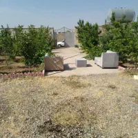 باغچه چهار دیواری