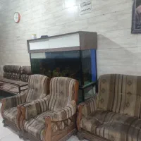 آکواریم بزرگ|ماهی|شیراز, جوادیه|دیوار