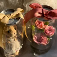 خانم بازاریاب و ویزیتور با وسیله نقلیه