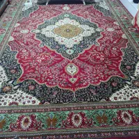 فرش|فرش|بندرعباس, |دیوار