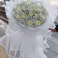 دسته گل|گل و گیاه طبیعی|قم, نخودی|دیوار