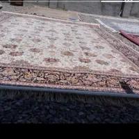 راننده قالیشویی