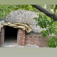 50 قصب باغ بندر دلفارد خوش آب و هوا|فروش خانه و ویلا|درب بهشت, |دیوار