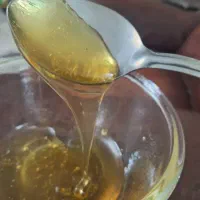 عسل چهل گیاه|خوردنی و آشامیدنی|شیراز, نصر|دیوار