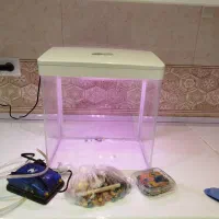 آکواریوم زینتی چراغ دار هفت رنگ|ماهی|اشنویه, |دیوار