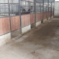 پانسیون اسب|اسب و تجهیزات اسبسواری|اصفهان, راران|دیوار