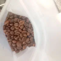 فروش عمده قهوه تازه