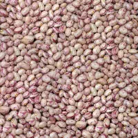 لوبیا چیتی ایرانی بوجاری شده تمیز هرکیلو 340 تومن