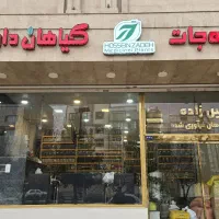 نیرو متعهد آقا در فروشگاه پخش ادویه جات