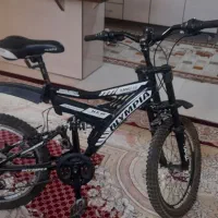 دوچرخه 20 حرفه ای