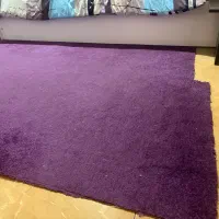 پالاز موکت|موکت|همدان, |دیوار