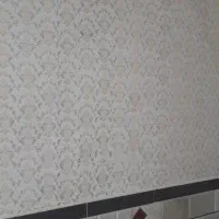 نقاشی ساختمان طرح کاغذ دیواری بارنگ نانو|خدمات پیشه و مهارت|نهاوند, |دیوار