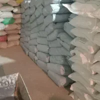 اسب مادیون|اسب و تجهیزات اسب‌سواری|اهواز, فتح|دیوار