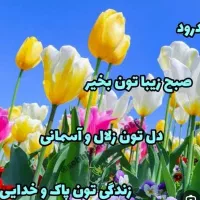 استخدام کارگر ساده خانم نظرآباد و حومه