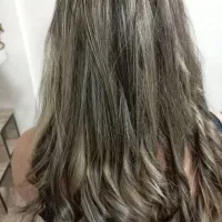 خدمات تخصصی رنگ ولایت