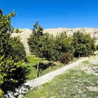 فروش باغ ویلائی گچساران روستای کلاغ نشین|فروش خانه و ویلا|دوگنبدان, |دیوار