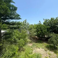 لواسان سینک220متر