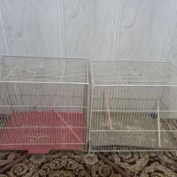 قفس  در حد نو